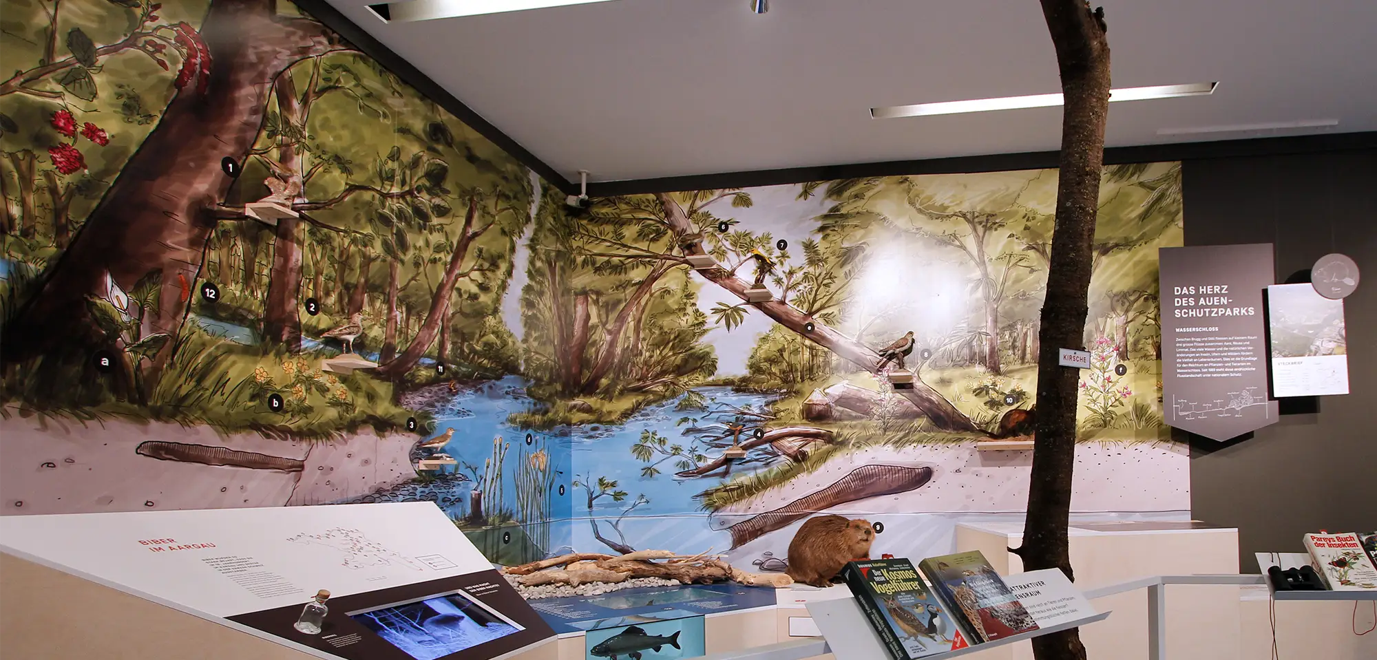 Foto der Wandillustration für die Naturama Sonderausstellung