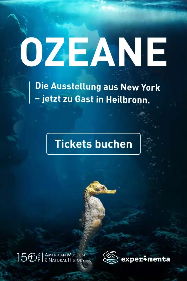 Ein HTML5-Webbanner für die experimenta Sonderausstellung: Ozeane